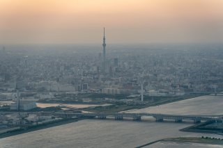 画像41